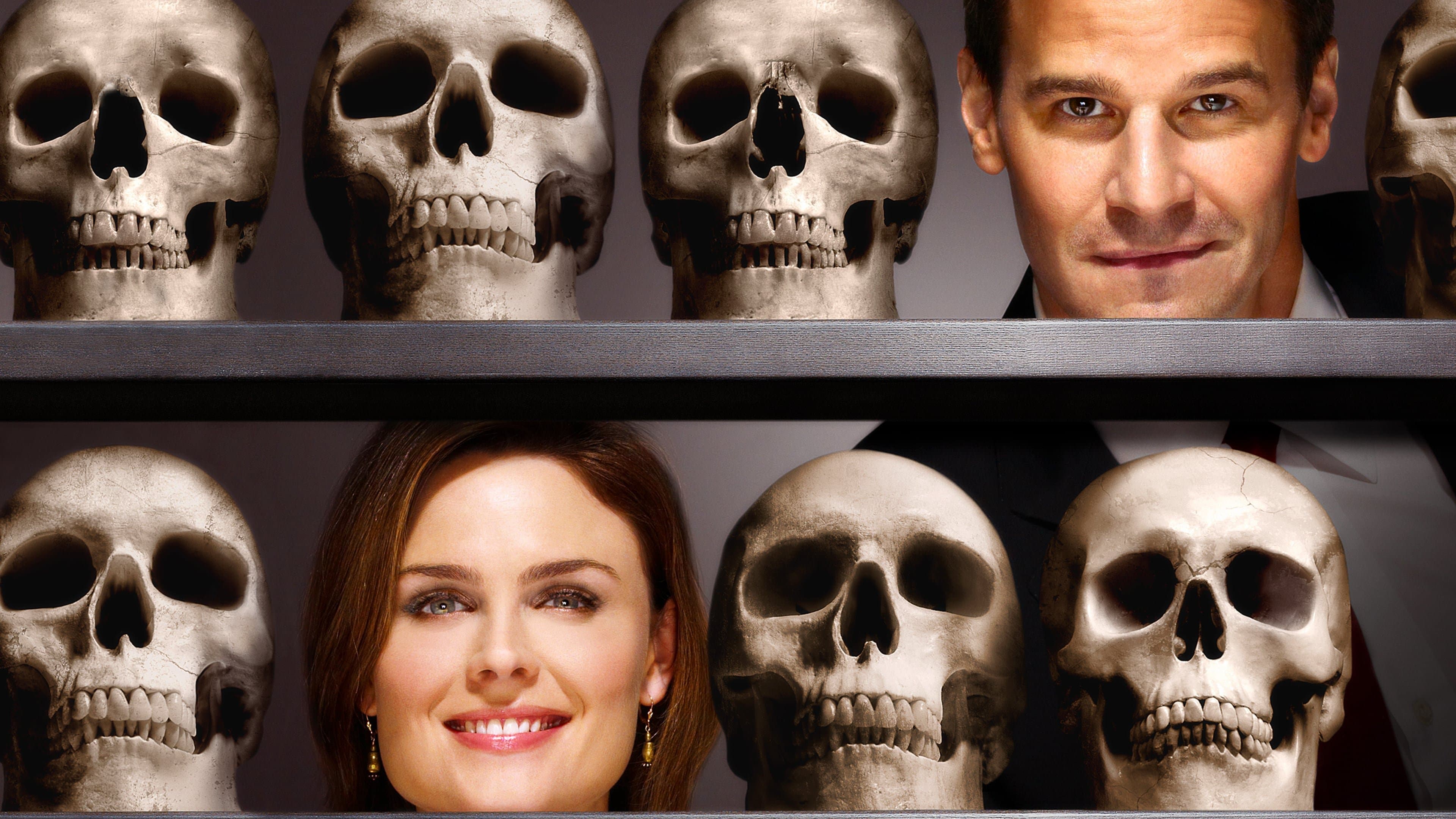 Bones series backdrop
