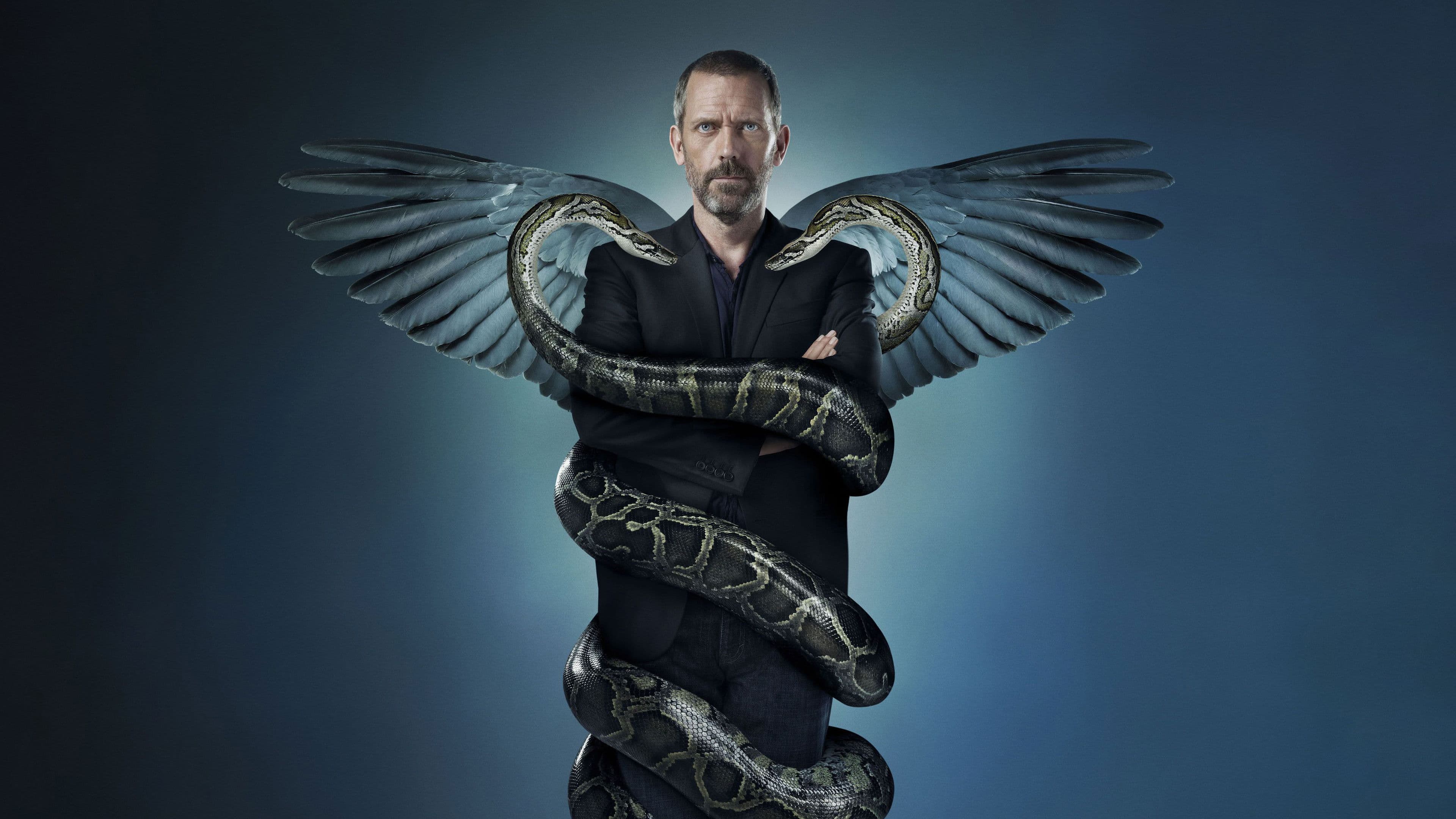 House series backdrop